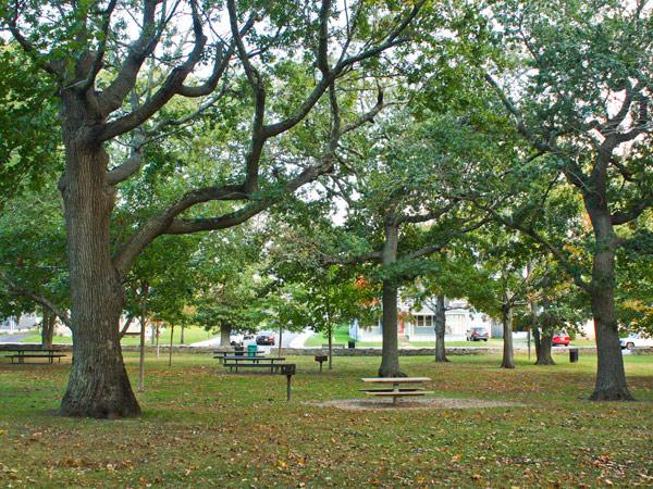 Open space at Miantonomi Park